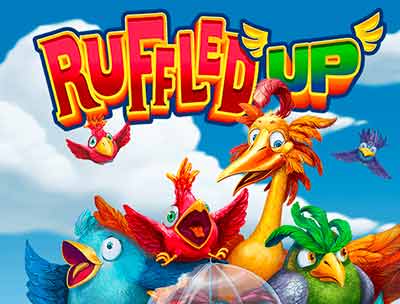 Ruffled Up