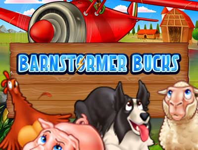 Barnstormer Bucks
