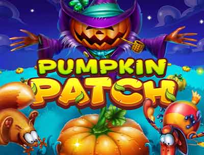Pumpkin Patch