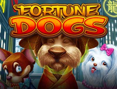 Fortune Dogs